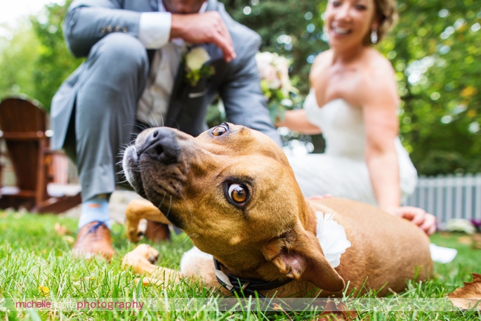 bride and groom pet their dog New Jersey wedding photographer michelle Arlotta