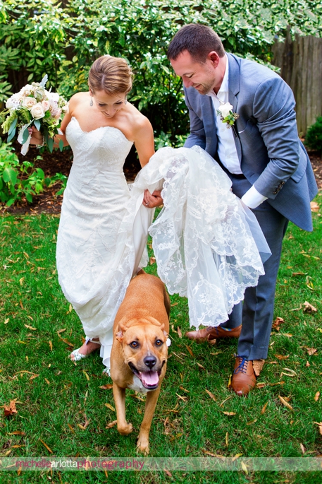 rescue dog walks underneath bride's dress during portraits in south New Jersey