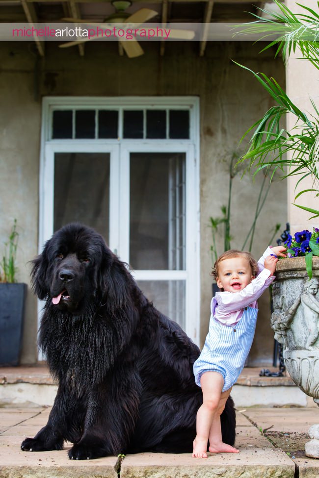 baby with Newfoundland dog nj family photography bedminster