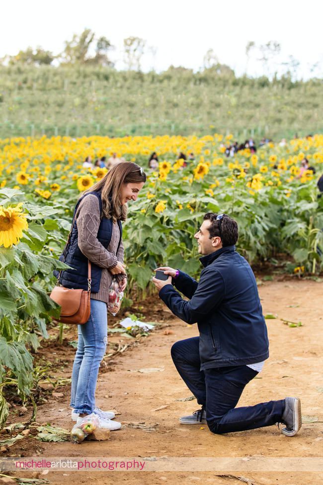 New Jersey wedding proposal alstede farms down on one knee