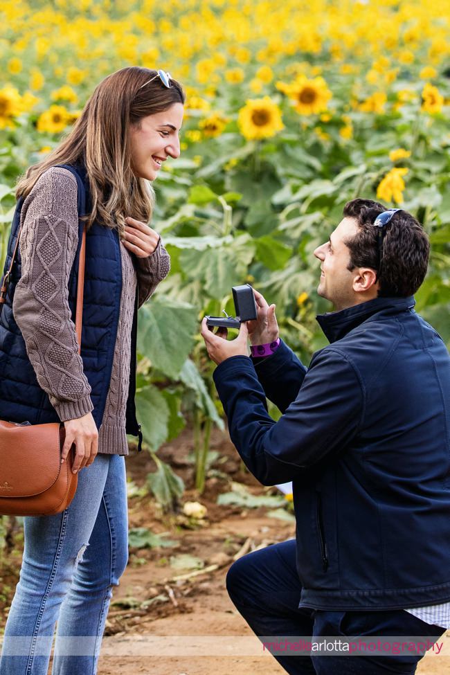 New Jersey wedding proposal alstede farms down on one knee