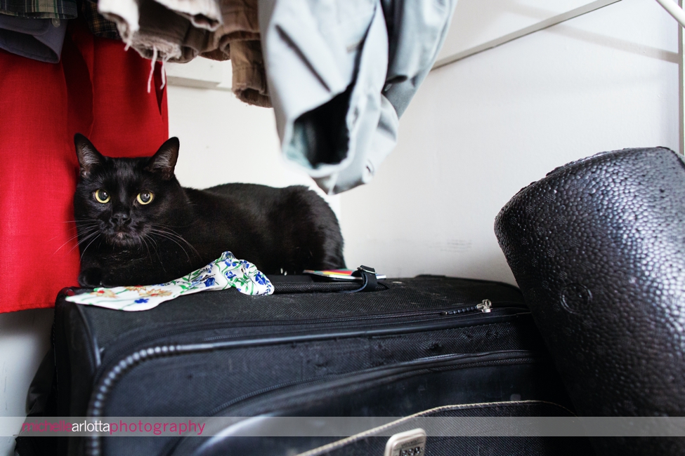 NJ elopement black cat hiding in closet