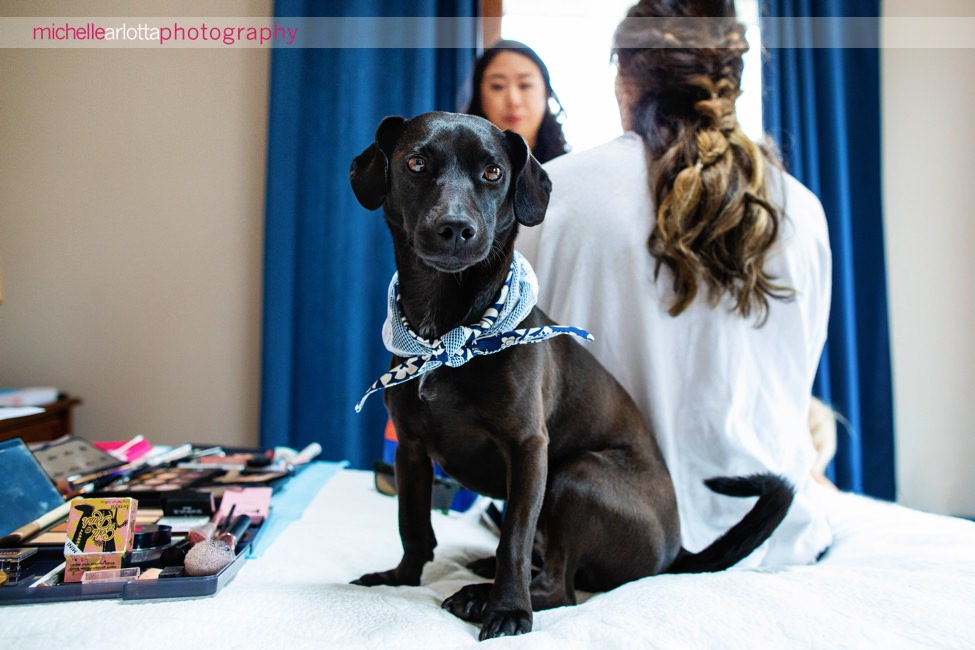 LBI NJ wedding bride prep bride's dog on bed while makeup being applied