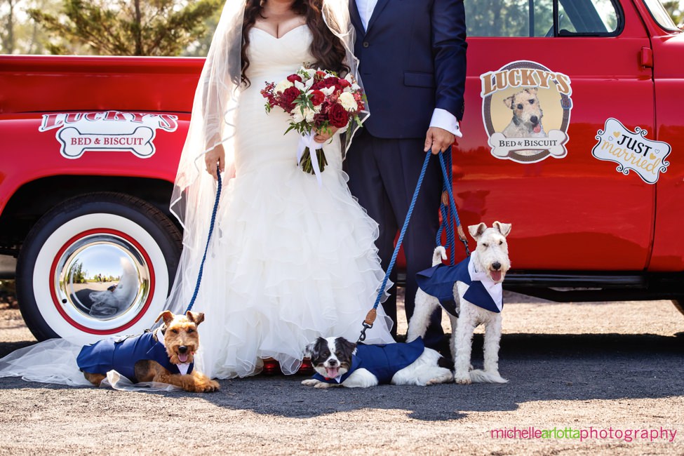 Renault Winery Summer Wedding bride and groom portrait with dogs and classic red truck