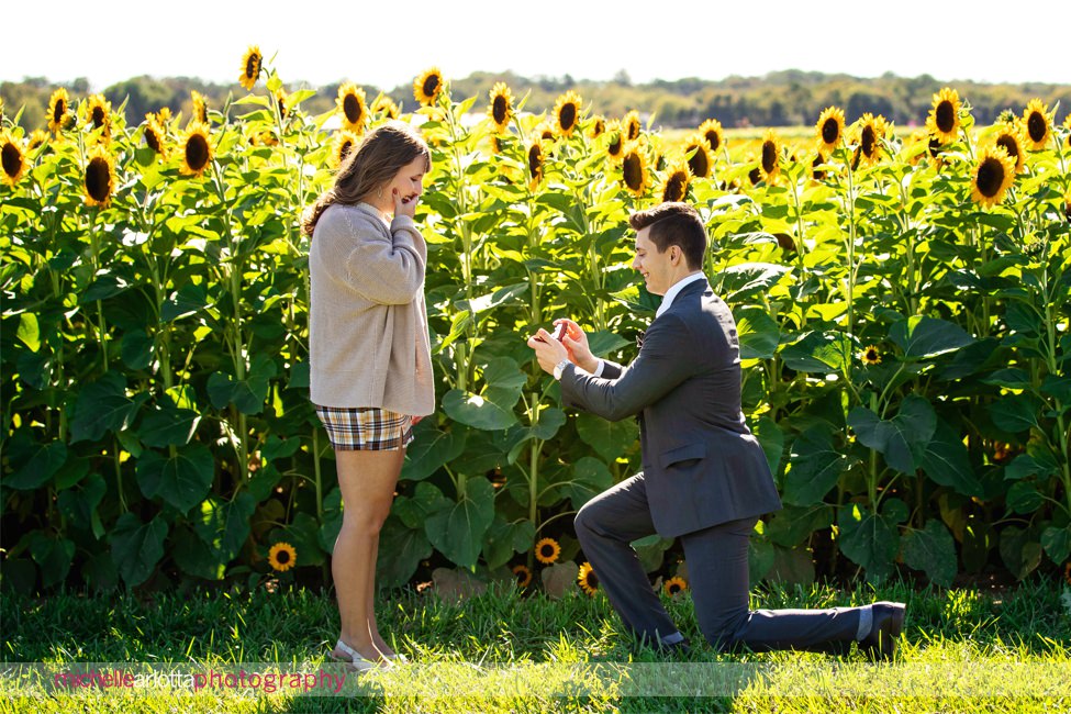 Holland Ridge Farm NJ wedding proposal sunflowers