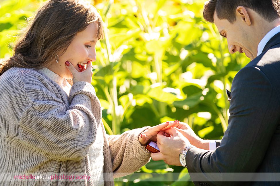 Holland Ridge Farm NJ wedding proposal sunflowers