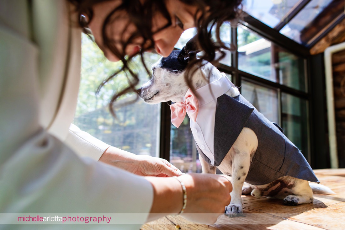 bride dresses her dog in a little tux during prep at Grateful Woods Kerhonkson NY Airbnb