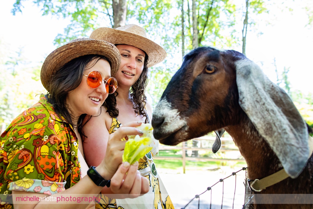 engagement session at Grateful Woods Kerhonkson NY with goats