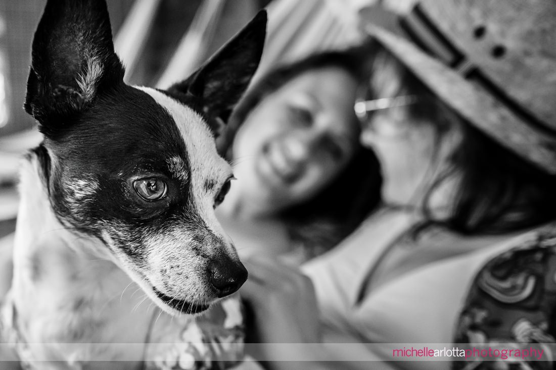 two brides-to-be in hammocks at Hudson Valley Grateful Woods AirBNB engagement session with little dog