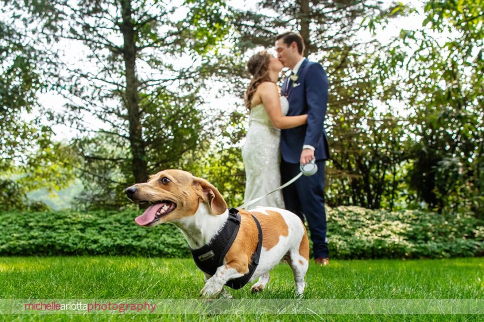 The Farmhouse NJ summer wedding bride and groom with a dog