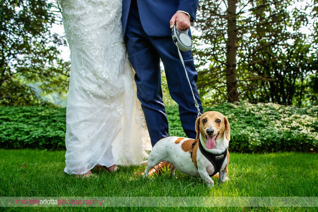 bride and groom portrait with little dog at The Farmhouse NJ summer wedding