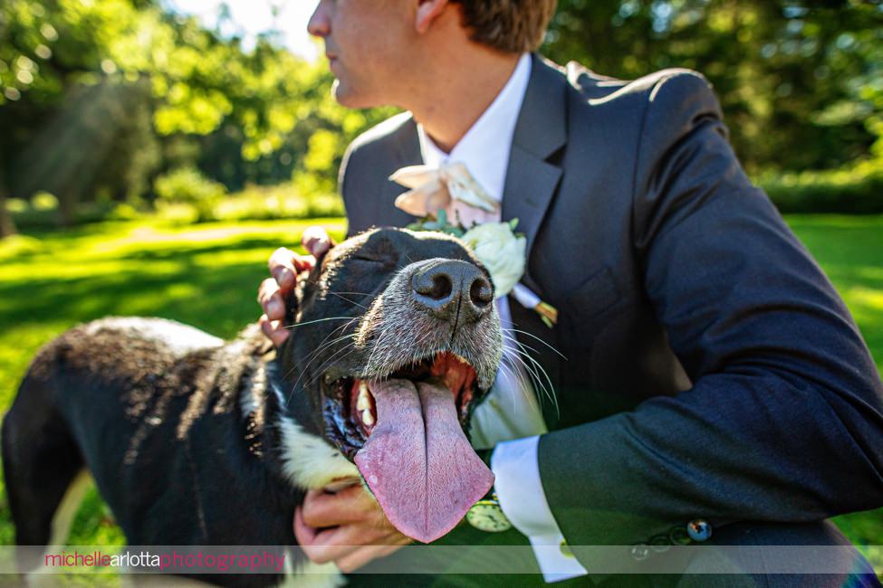 Logan Inn new hope pa wedding bride and groom portrait with two dogs