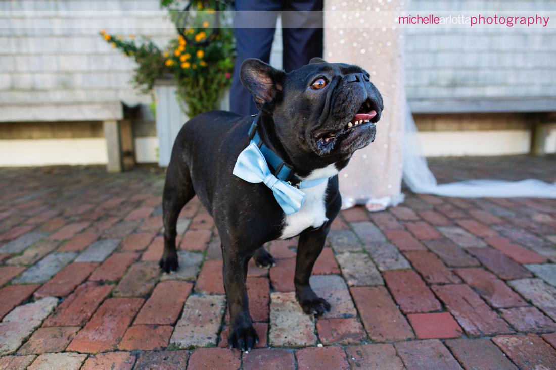Parker's Garage LBI wedding dog with bowtie