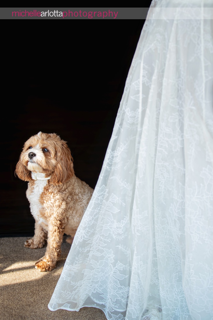 bring all the dogs nj Lake Mohawk country club wedding  dog waits by bride just before the first look