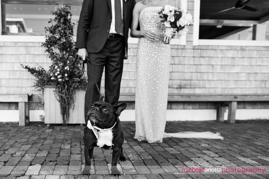 bring all the dogs parker's garage lbi NJ wedding dog looks unsure at camera with bride and groom in the background