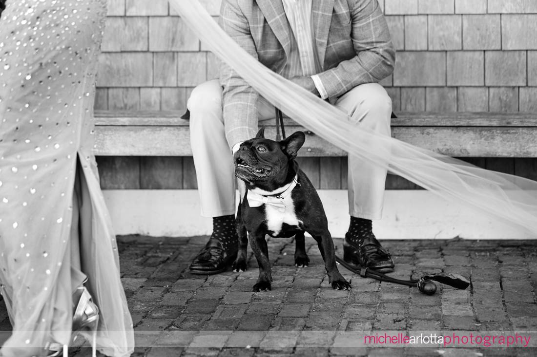 bring all the dogs parker's garage lbi NJ wedding dog with blue bowtie watches as the bride walks by and her veil trails in the air