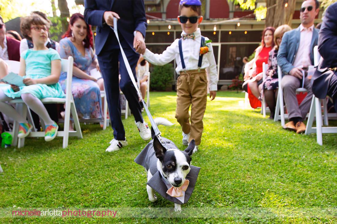 bring all the dogs Hudson valley ny wedding dog in tuxedo walks on leash for the aisle for ceremony