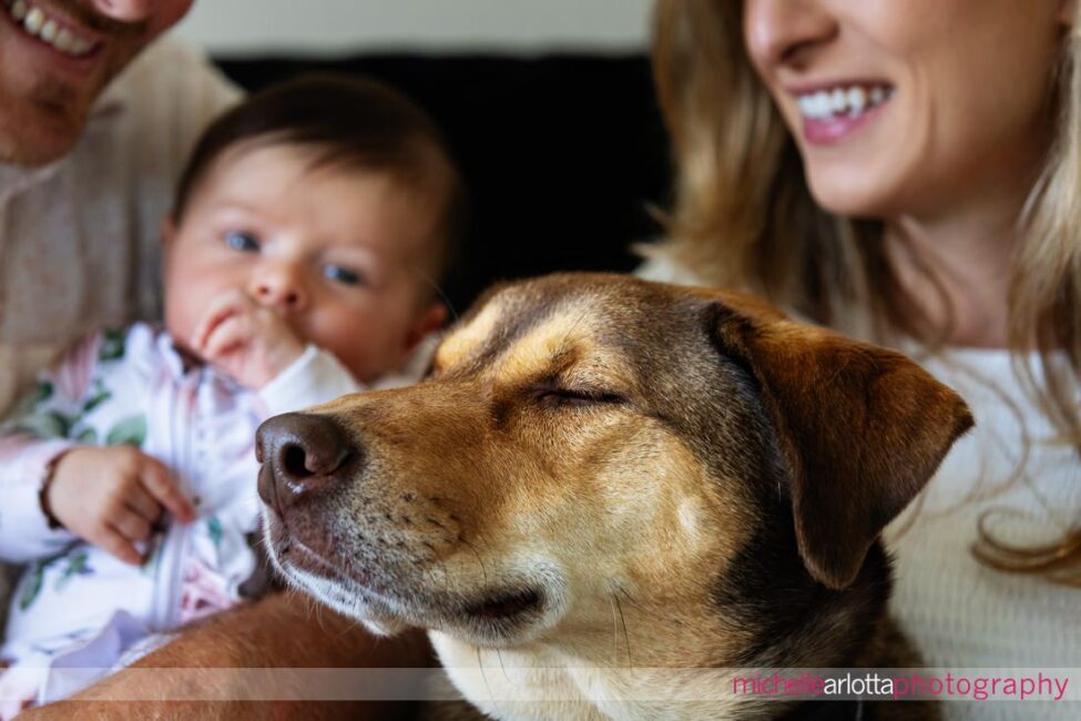 Chester County, PA newborn family photos with dog