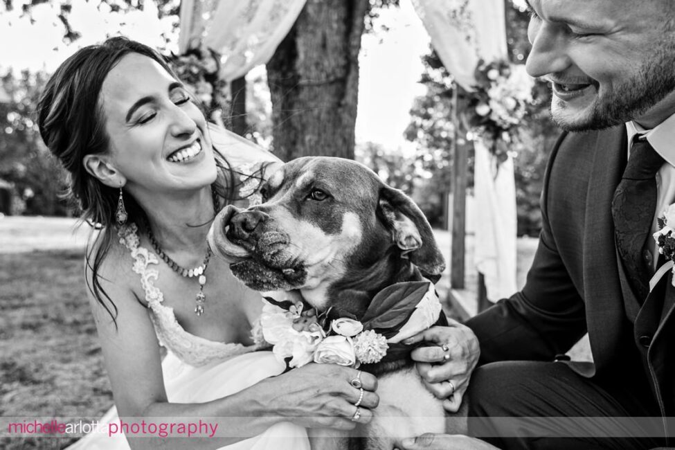 South Jersey Hammonton Summer Backyard wedding bride and groom with dog