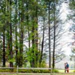 tinicum park bucks county pa engagement photography couple kissing among tall pines