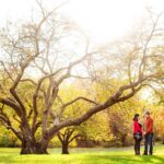 beautiful large tree branches highlight fall engagement photos in nj