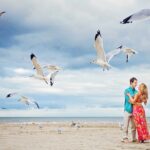 seagulls fill the frame during nj shore engagement session