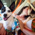 NJ engagement session with dog same sex couple in hammock