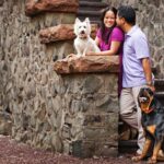 NJ engagement session with dog