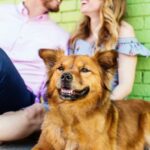 NJ engagement session with dog asbury park