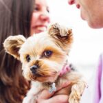 NJ engagement session with dog