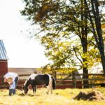 dad stops to adjust toddlers shirt with horse in the background on NJ farm