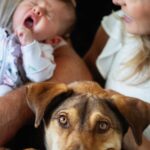 dog in foreground of image with newborn yawning in the background